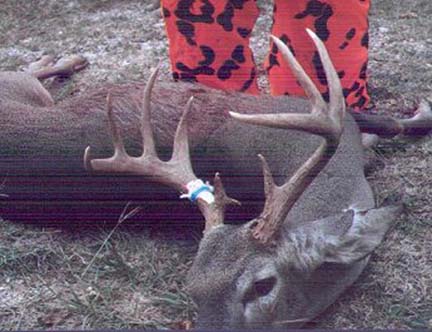 [Loy Kyle took this nice 11 pt buck on his place in Del Rio]